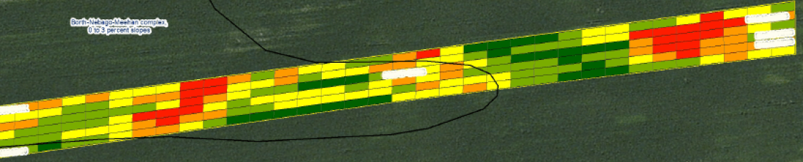 Yield map of field infested with western bean cutworm