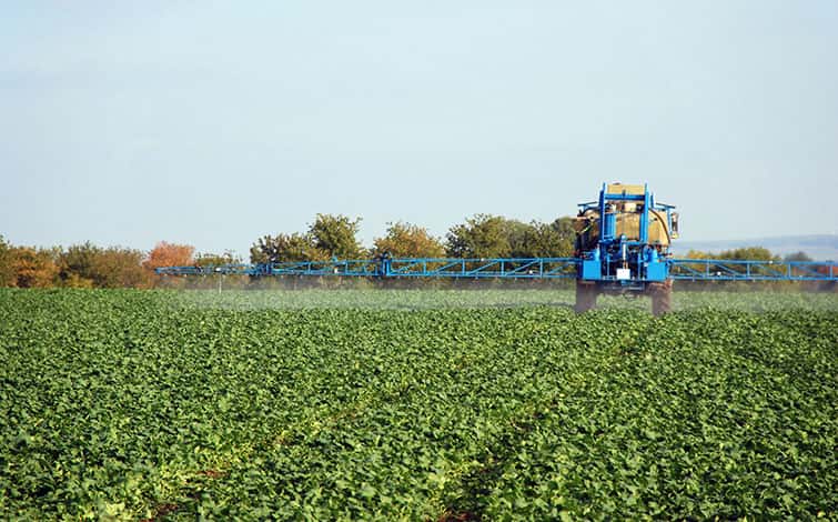 Tractor on field spraying the crops.