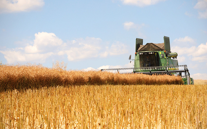 tips-for-healthier-harvest.jpg