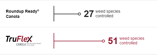 Diagram showing 24 additional number of weed species controlled by TrueFlex canola (51 weed species controlled) vs. Roundup Ready Canola (27 weed species controlled).