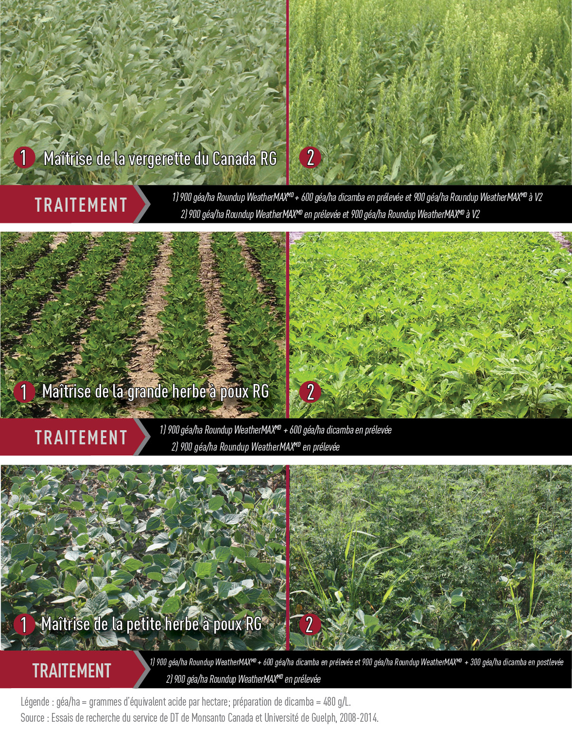 Field Trials Demonstrate Dicamba Efficacy